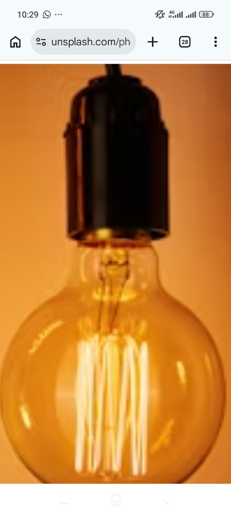 key facts about the Bulb Token network