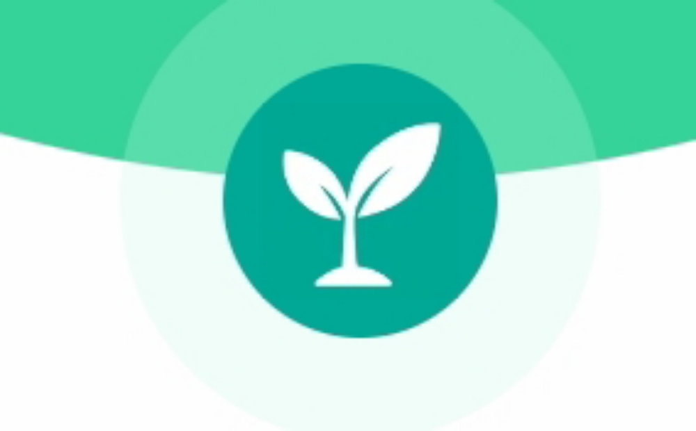 DISCOVER SPROUT 🌱