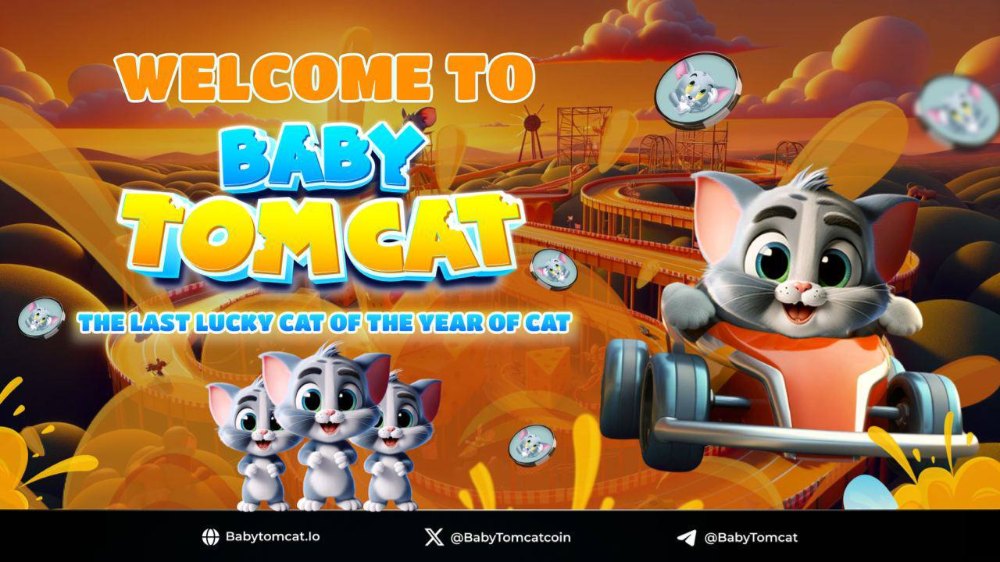 ✅⚡️⚡️BABY TOMCAT - BSC WHITELIST PRESALE🔶