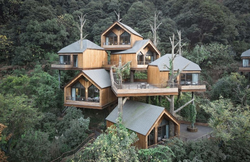 Considerations for Tree Houses