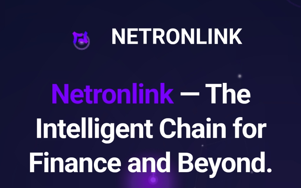 Netron link