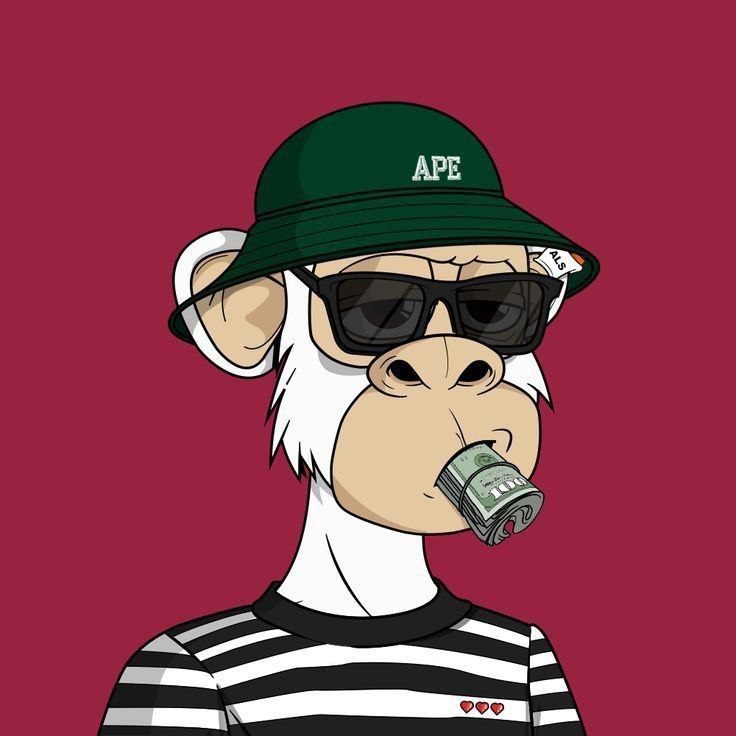 pavaardzzz