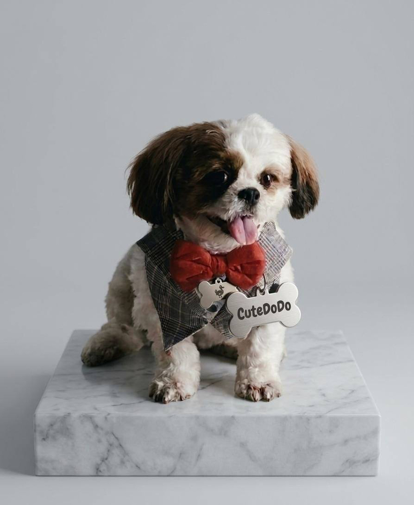 CuteDODO ($DODO): A New Shih Tzu on Solana