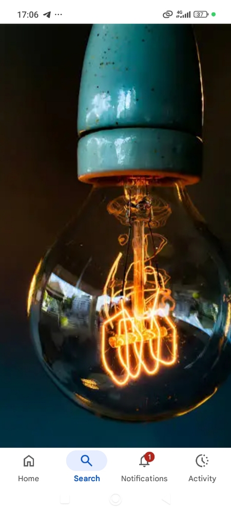 Orange Dynasty tokenomics