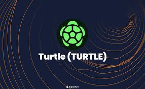 Turtle Coin Nedir?