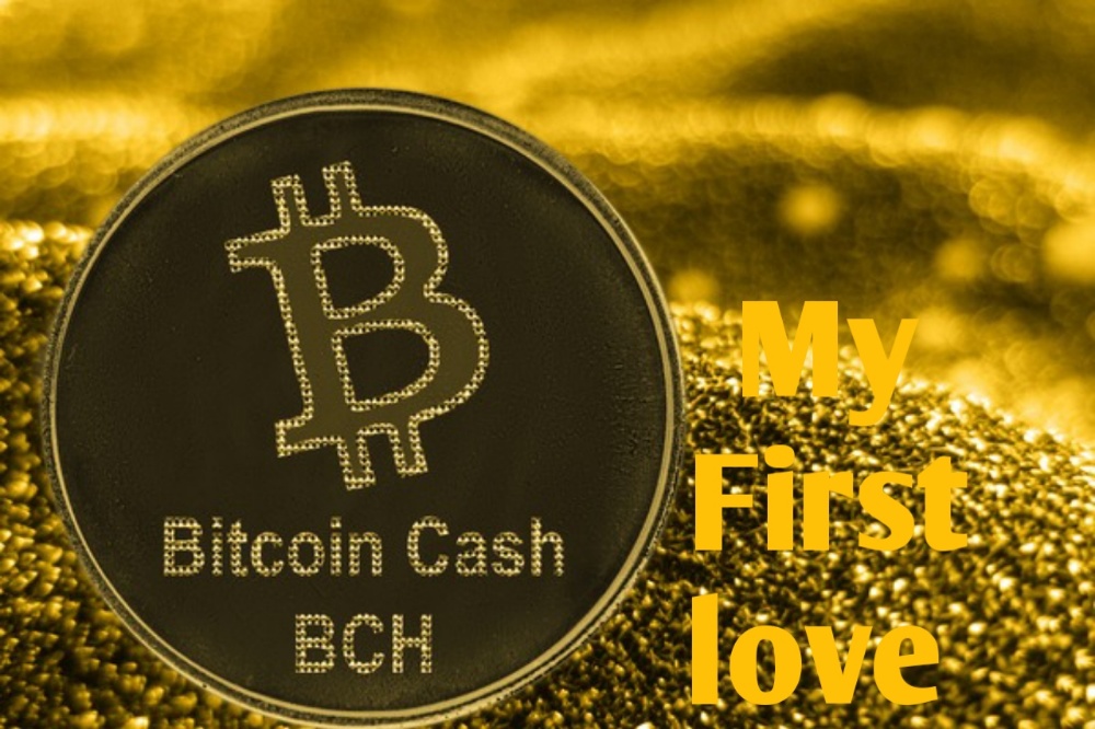 My First love - Bitcoin Cash (BCH).