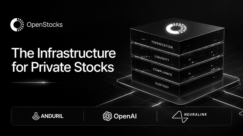 The Global Infrastructure: The Infrastructure for Private Stocks
