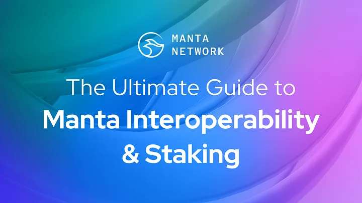 The Ultimate Guide to Manta Interoperability