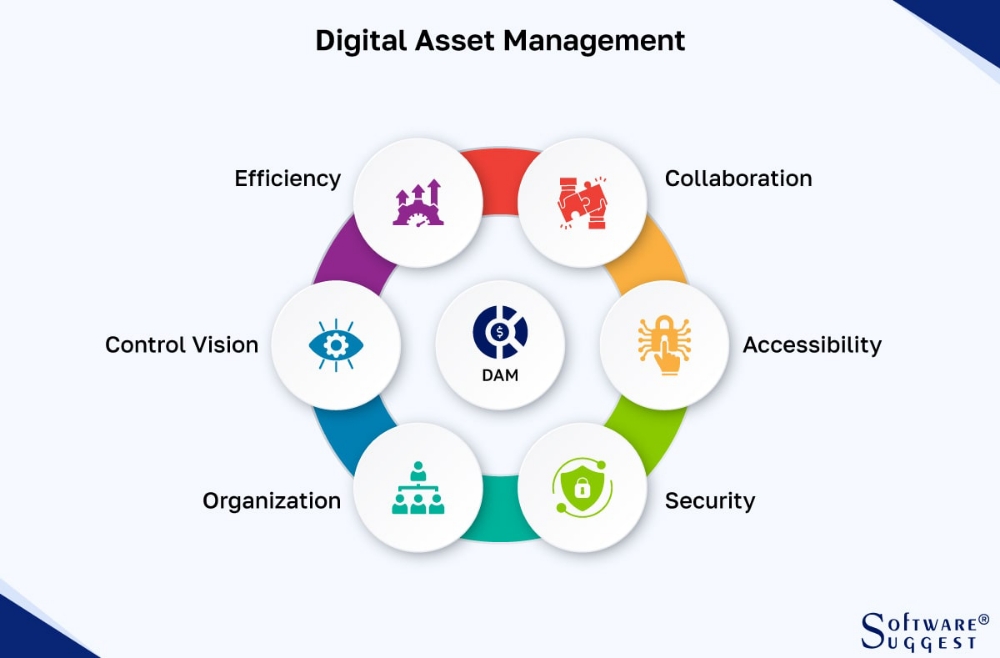 Digital assets,it's evolution and growth.