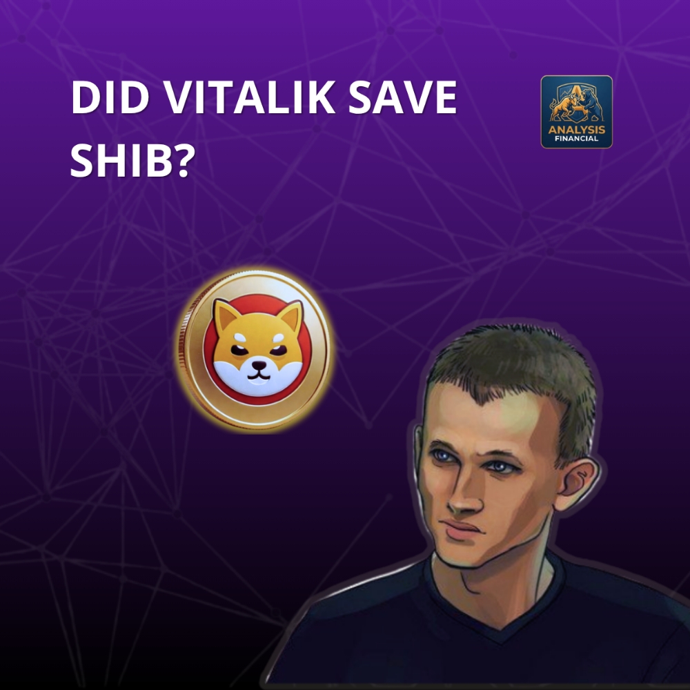Beyond the Hype Analyzing the Impact of Vitalik’s Massive SHIB Burn
