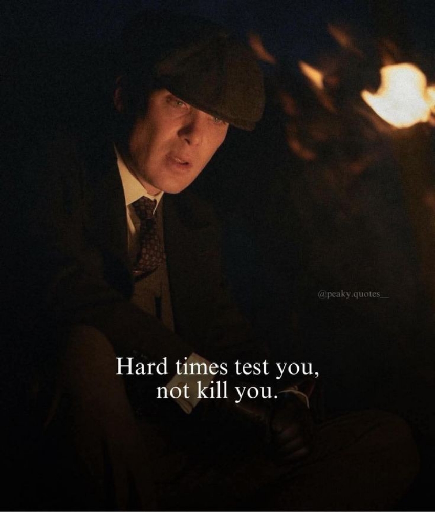 The 2026 Market Shift: Navigating Tariff Turmoil and AI Divergence