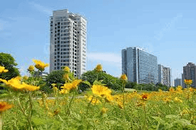 Embassy Greenshore: Homes with Open Spaces and Security