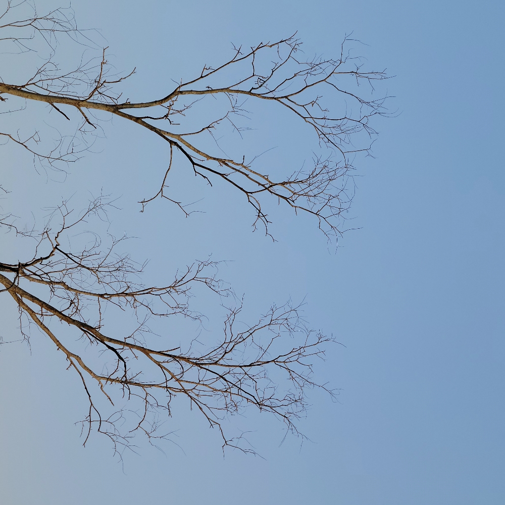 Why Bulb Could Be the Social Platform Web3 Has Been Waiting For