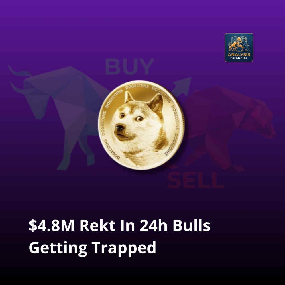 Reading Between the Lines Is DOGE’s Recent Pump Sustainable?