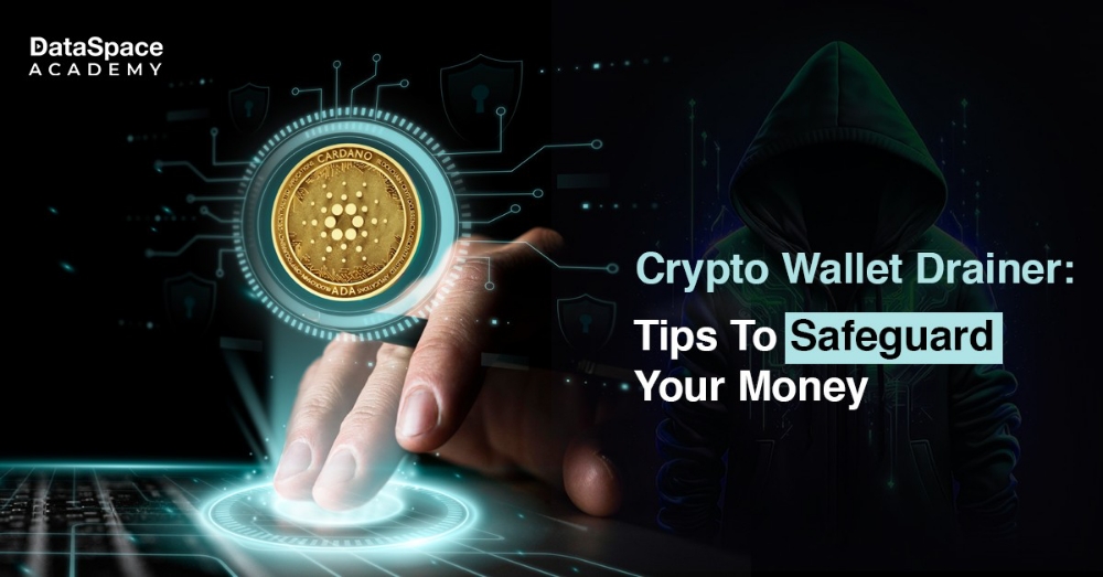 Crypto wallets drainers.