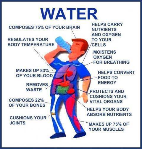 6 Reasons to Drink Water