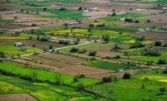 Bricks and Milestones Sarjapur: Buy Apartments Without Hassle