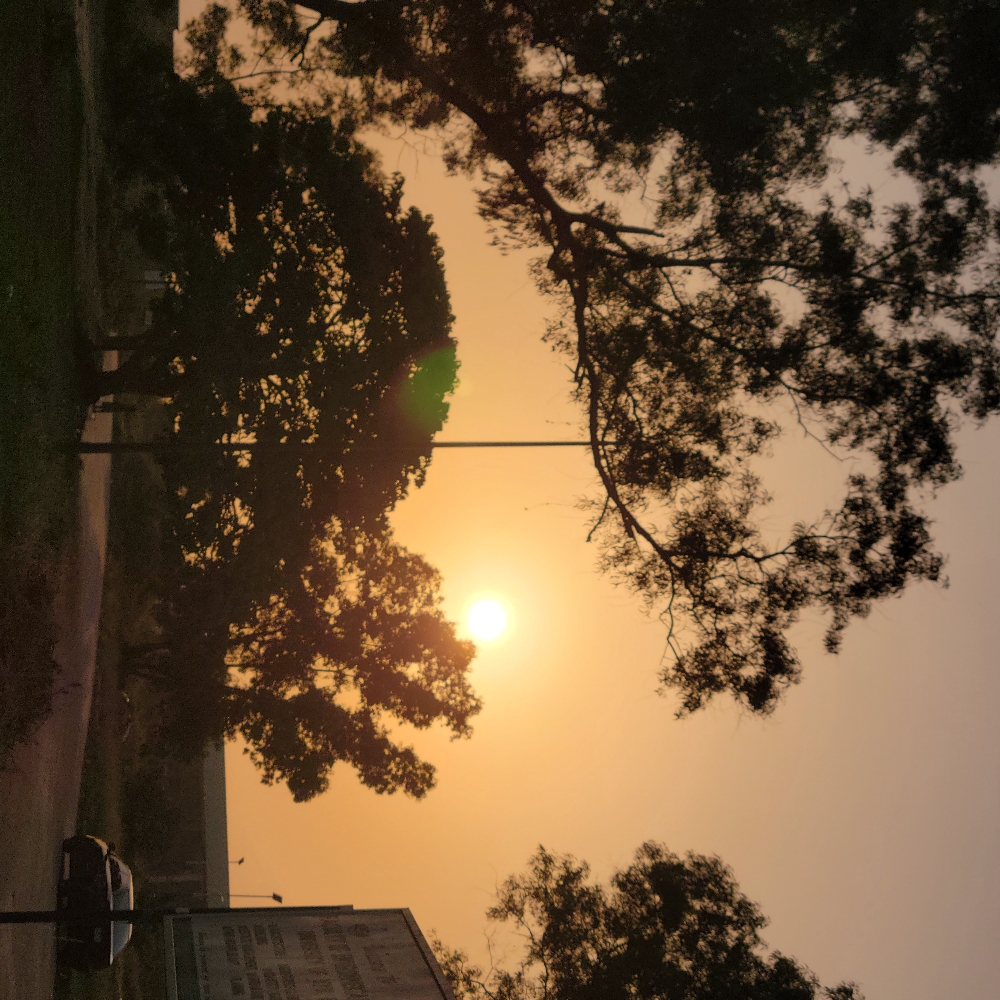 Bulb: The Power of Being Early