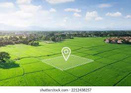 Kalpataru Sugan Enclave Project: Residential Growth & Future Prospects