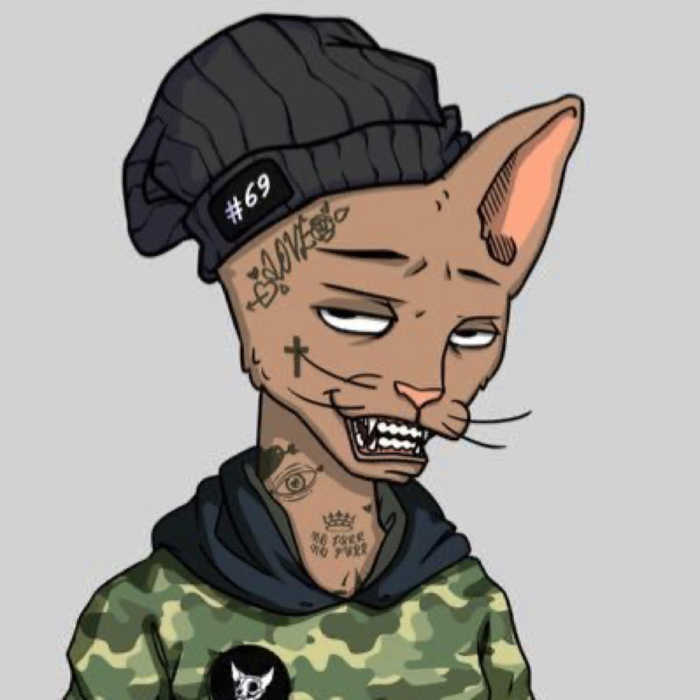 Zillarip