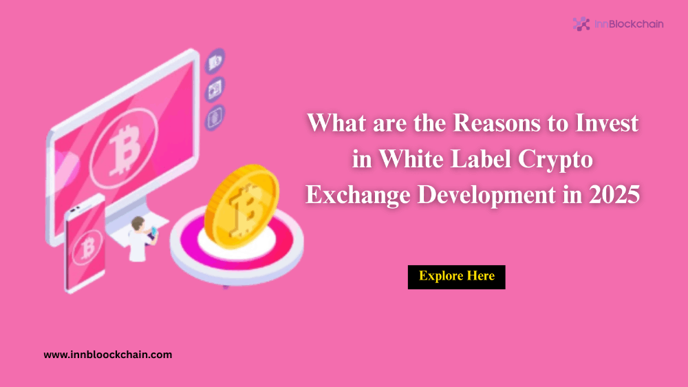 What are the Reasons to Invest in White Label Crypto Exchange Development in 2025