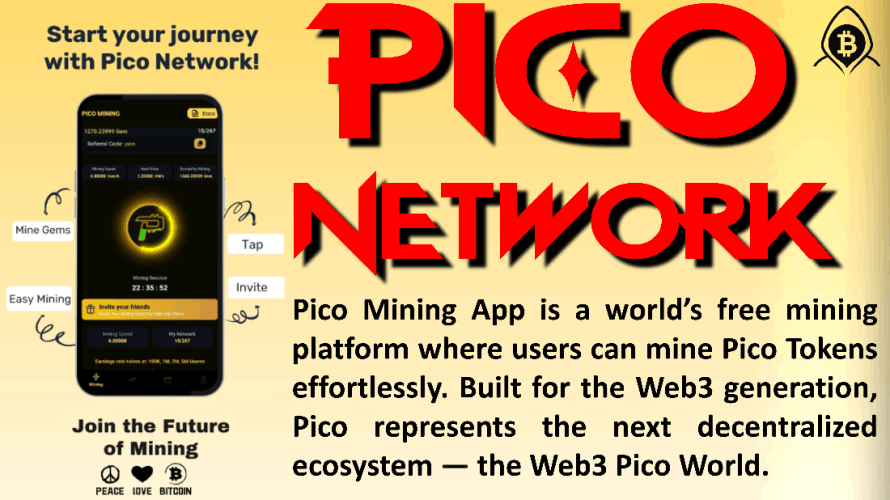 💥 Pico Network: Ambassador and Marketing Partnership Plan.