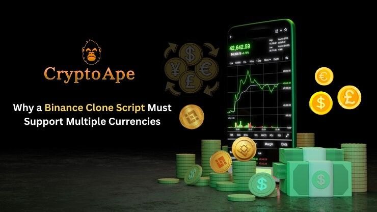 Why a Binance Clone Script Must Support Multiple Currencies