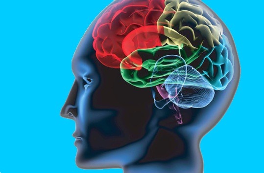 Understanding and Mastering Human Behaviour and Psychology