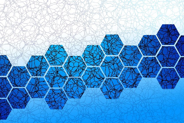 Slash Card may be implementing a bridge function for Ethereum USDC to Solana