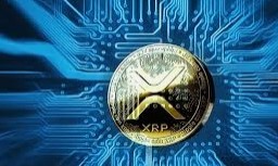 XRP (Ripple): A Next-Generation Payment Protocol Transcending Digital Boundaries