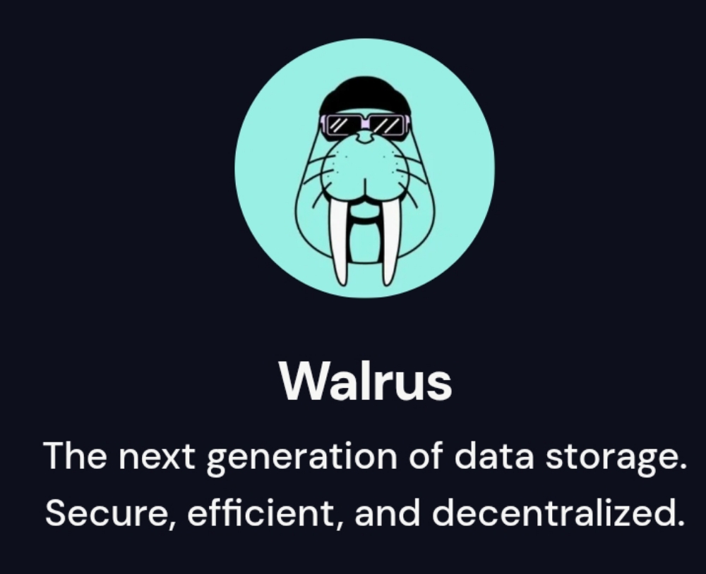 Walrus protocol