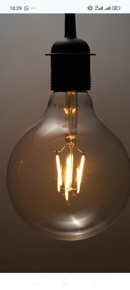 Meme Coins Forecast: Which Ones Will Pump Hard in 2026?