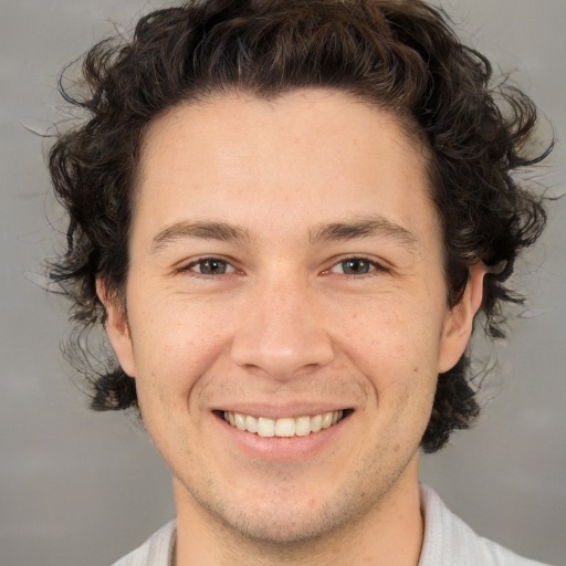 David Brevis