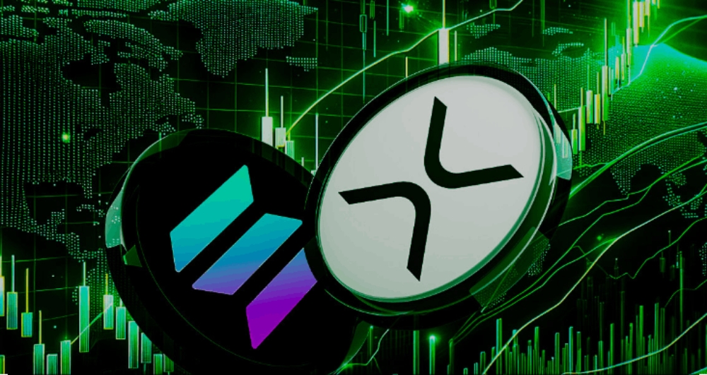 Bulb ecosystem and Solana Blockchain