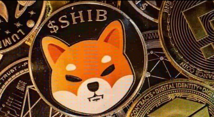 Shiba Inu Whale Buys Billions of Coins, Burn Rate Jumps 700%.