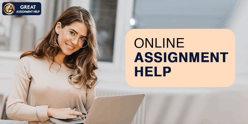 Why Students Struggle with Assignments & Solutions