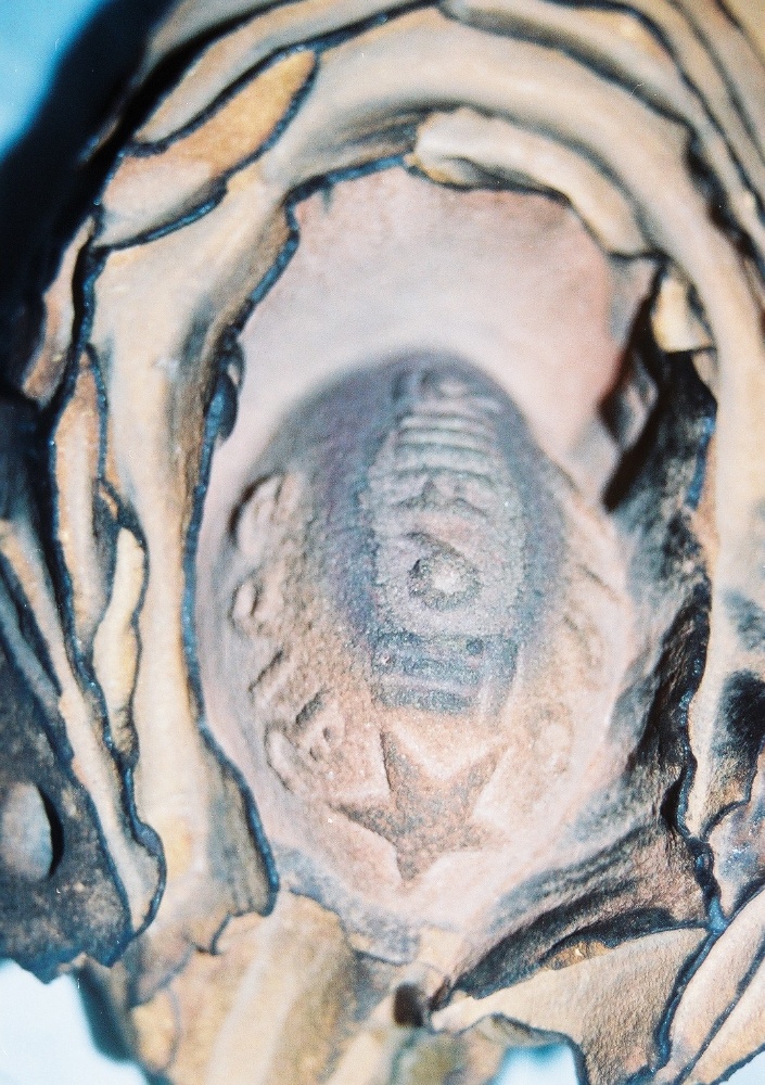 The Solomonic Stone: Complete Research & Digital Archive Bundle