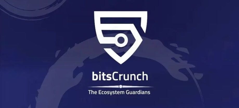 bitsCrunch: The Unsung Hero of Blockchain Integrity and NFT Valuation