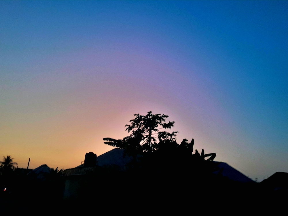 Bulb: Where Community and Opportunity Meet in Web3