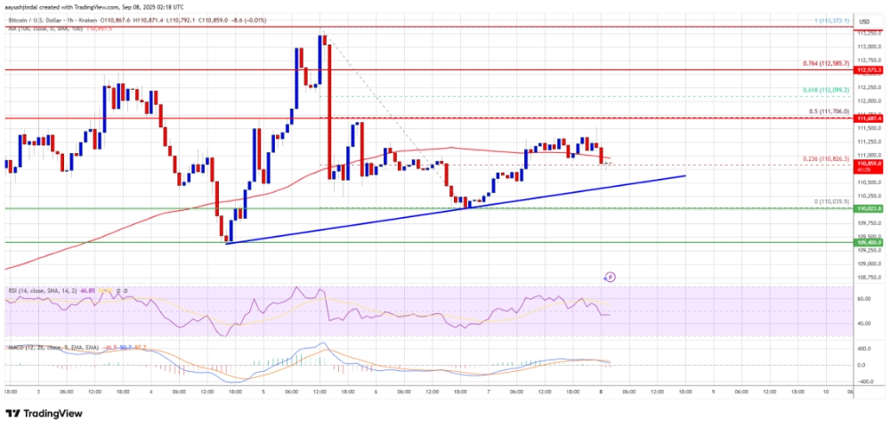 Bitcoin Price Struggles To Recover