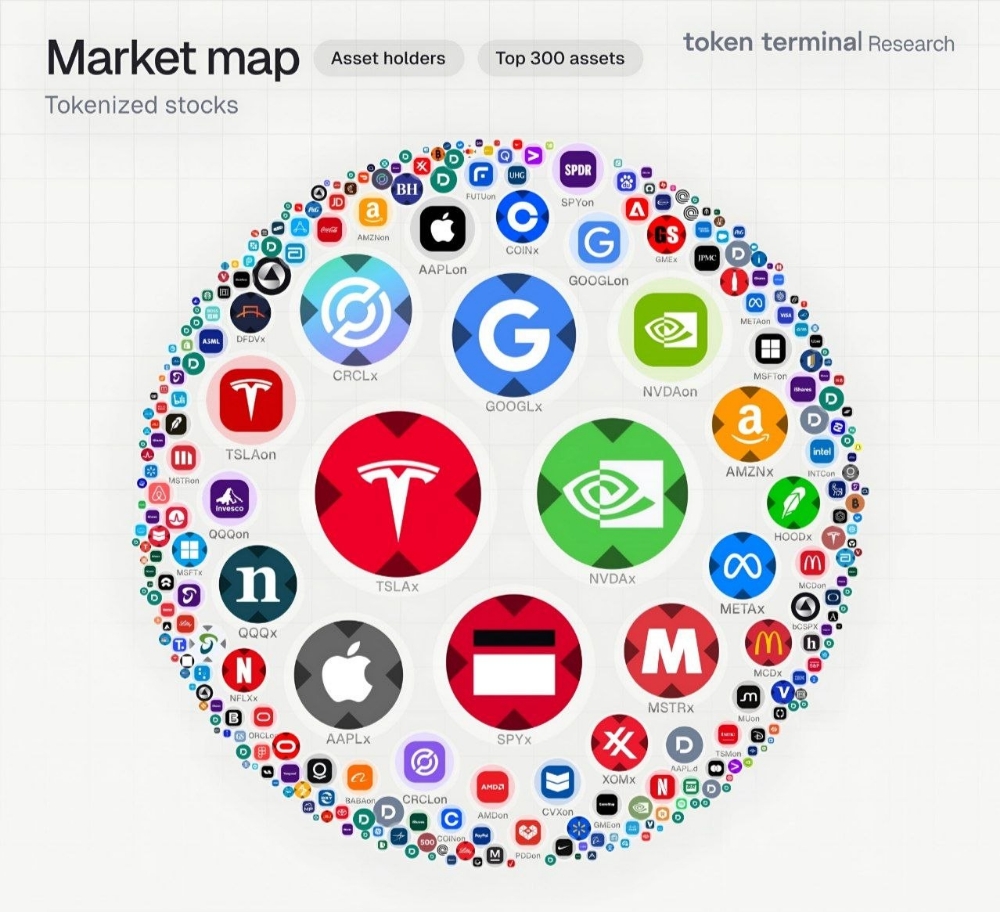🔥 Tokenized stocks, sized by number of onchain holders