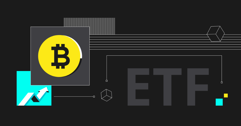 Bitcoin ETFs have become everyone's favorite!