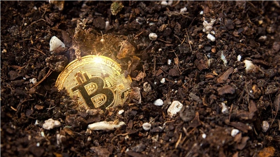 Where to Source Reliable Token Generator Platform Development Services