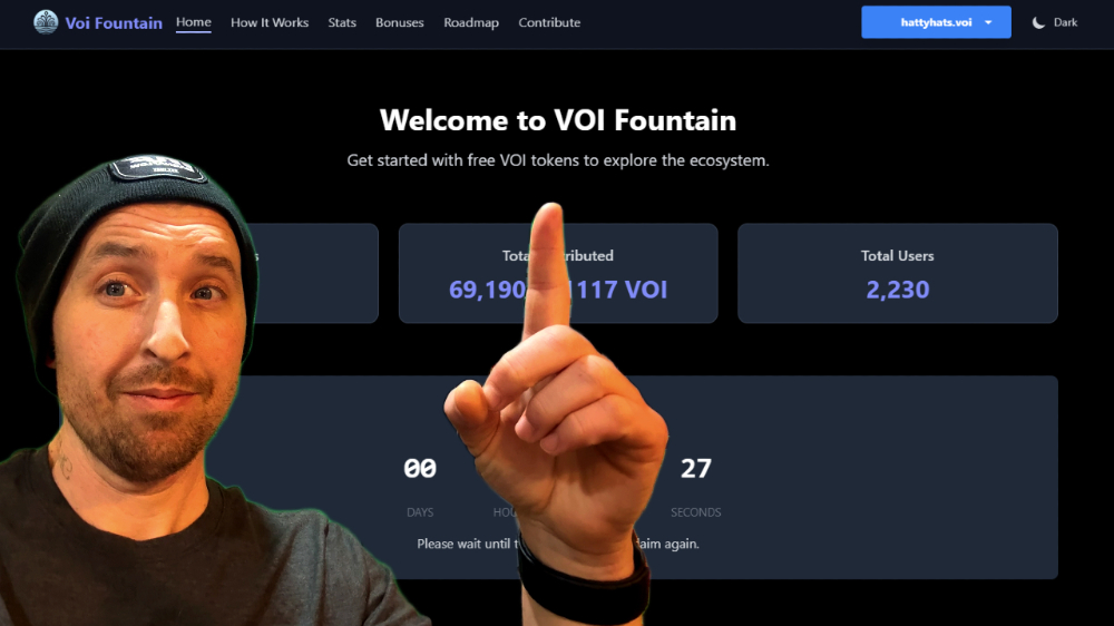 The Fountain of The Voi Network  ⛲