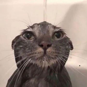 Henri_Que