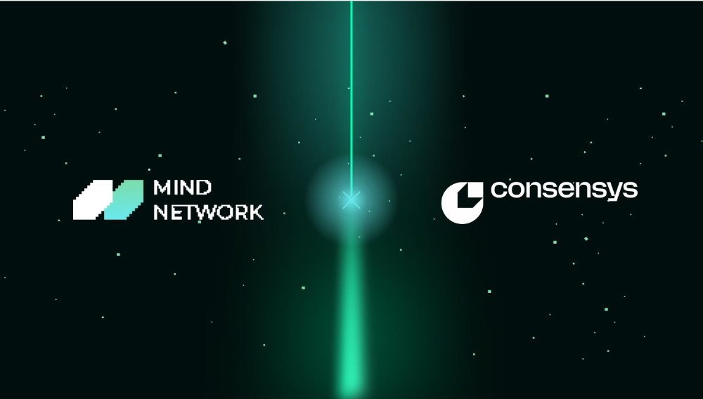 Mind Network Hakkında