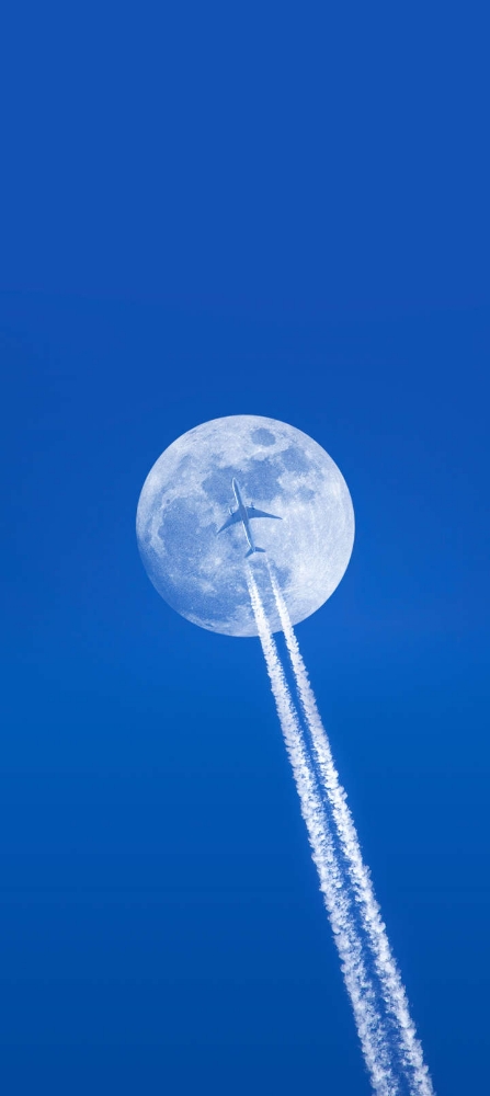 BULLRUN AND BEARISH MARKETS