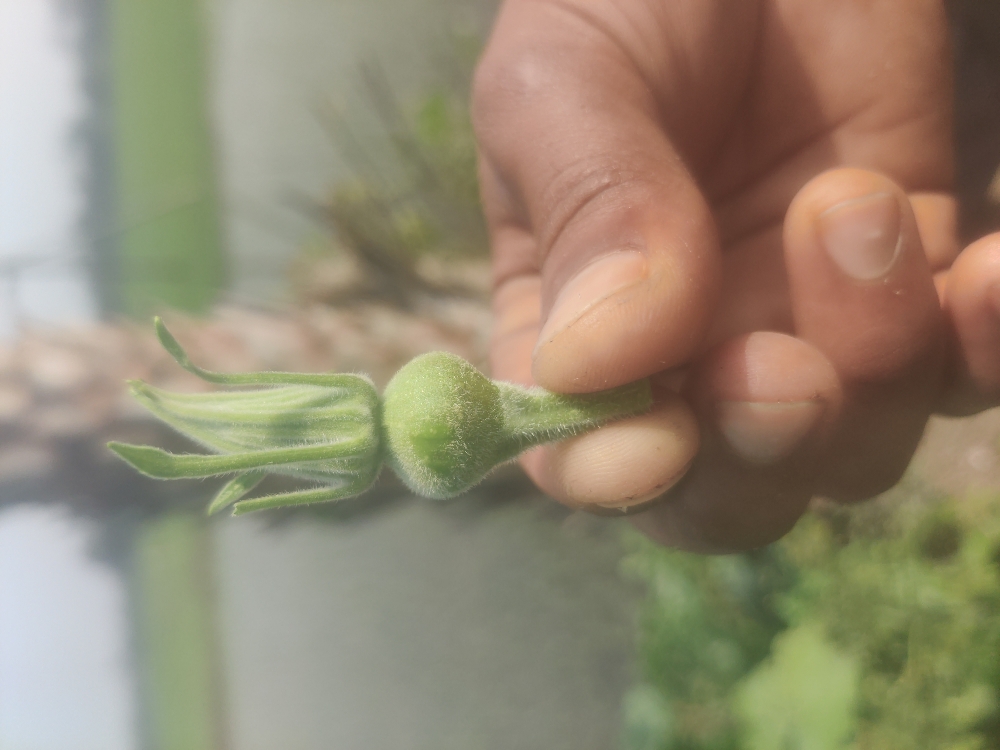 the value of slow progress