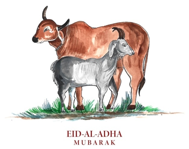 Qurbani,  A Spiritual Duty and Its Economic Wisdom.