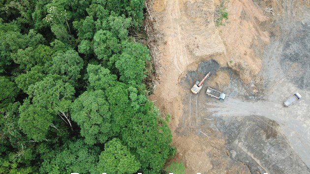 Foreign-backed nickel hub in Indonesia causing mass deforestation